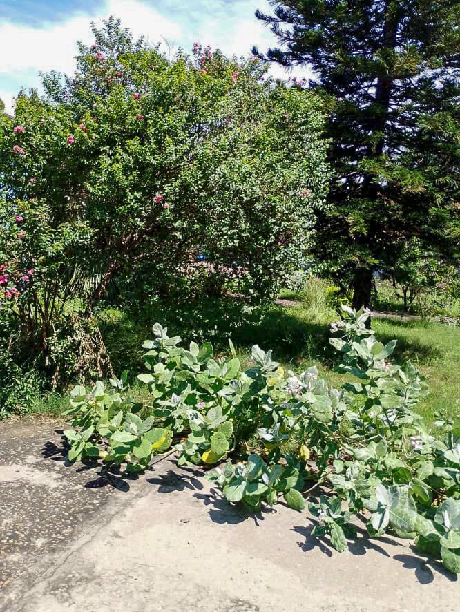 Property Photos 40