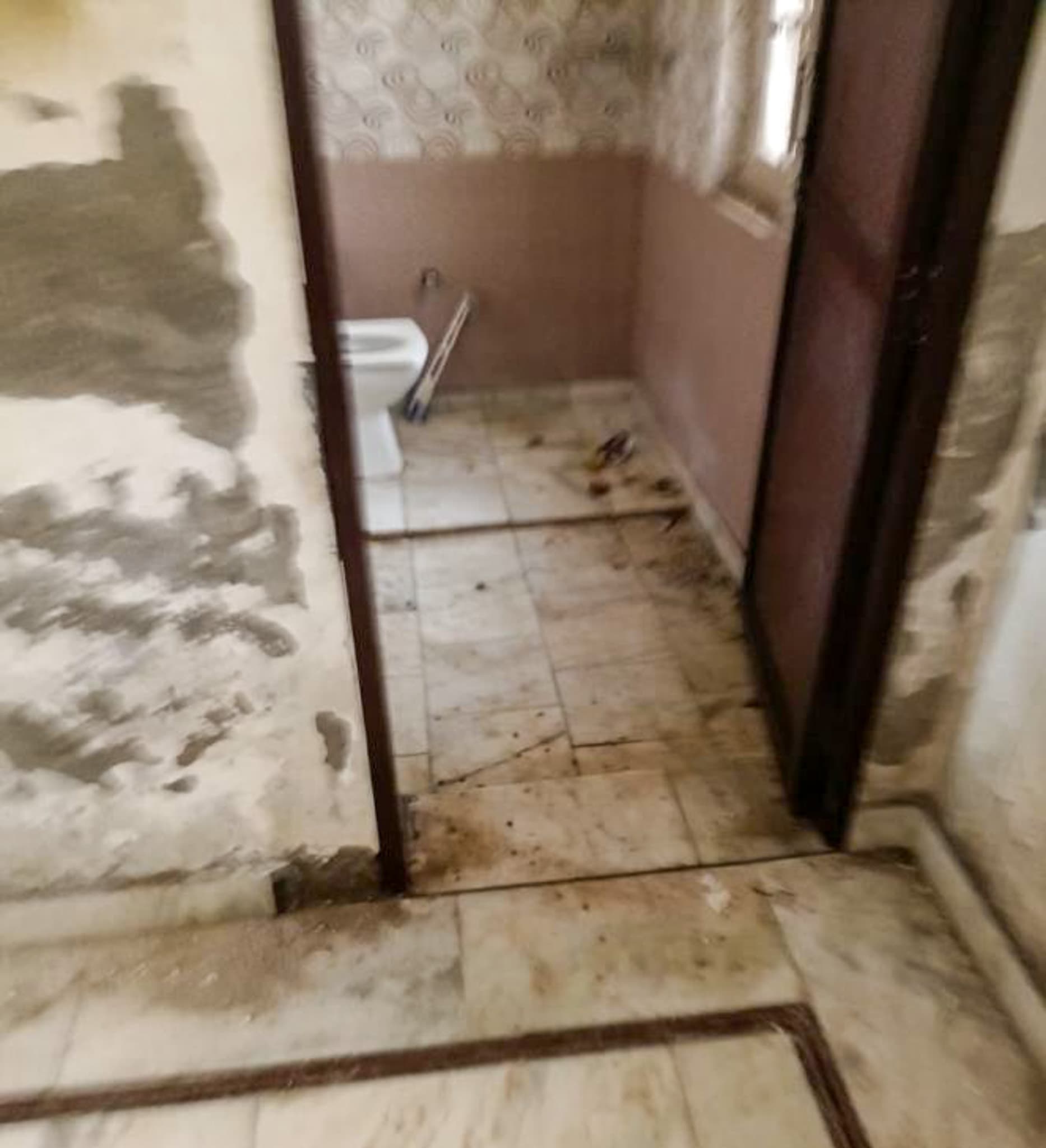 Property Photos 8