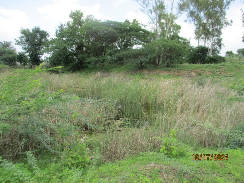 Property Photos 7