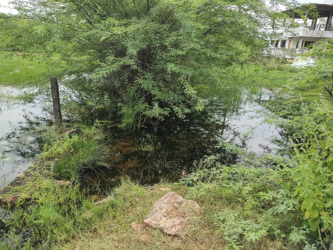 Property Photos 5