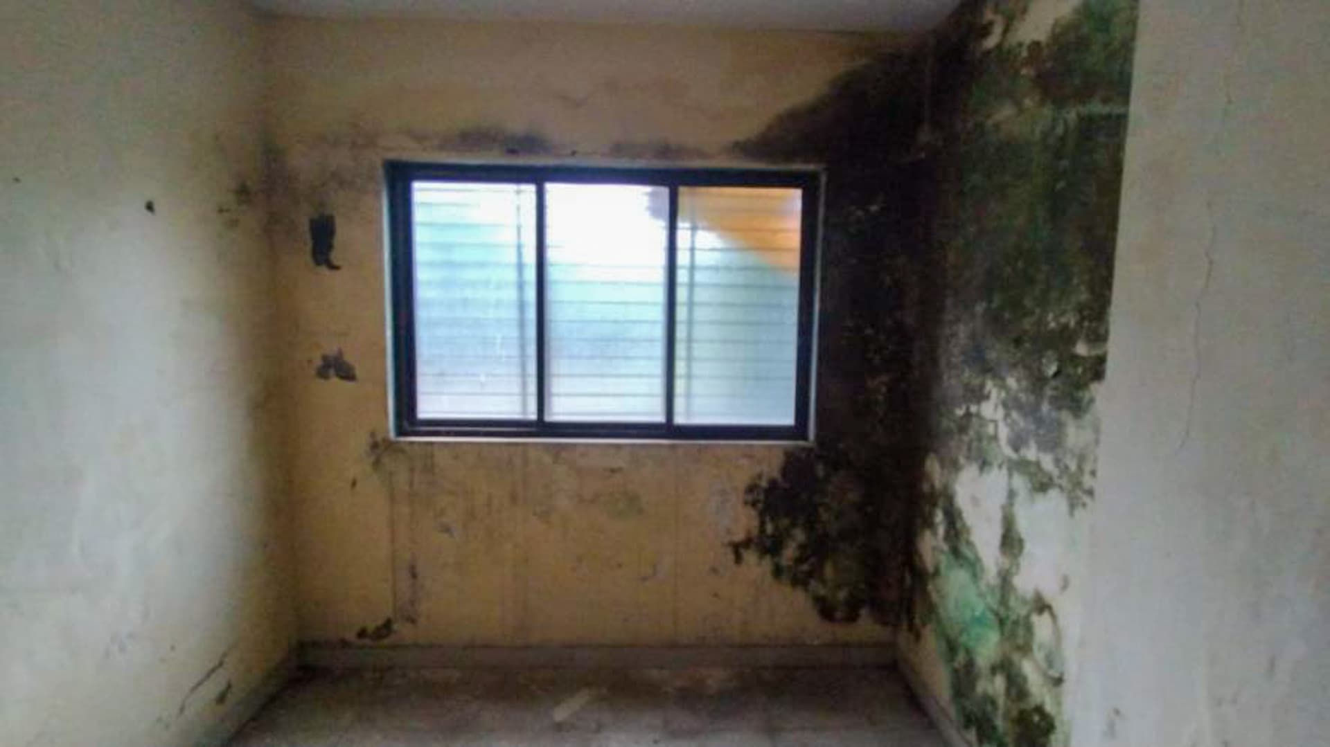 Property Photos 26