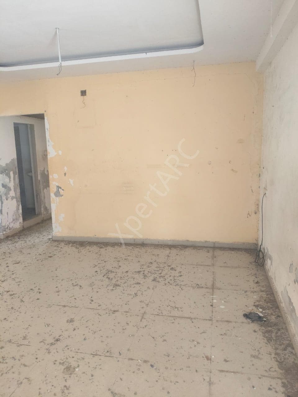 Property Photos 6