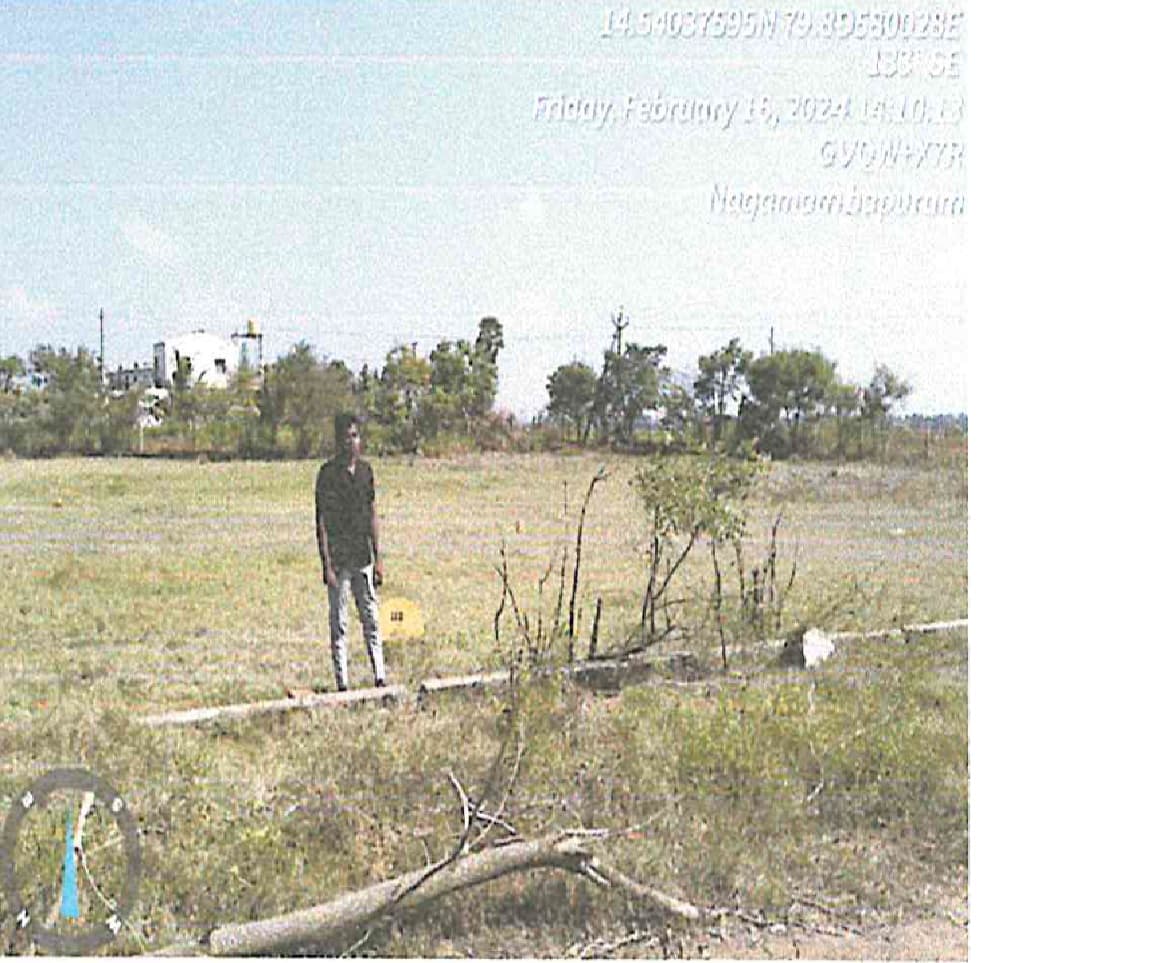 Property Photos 4