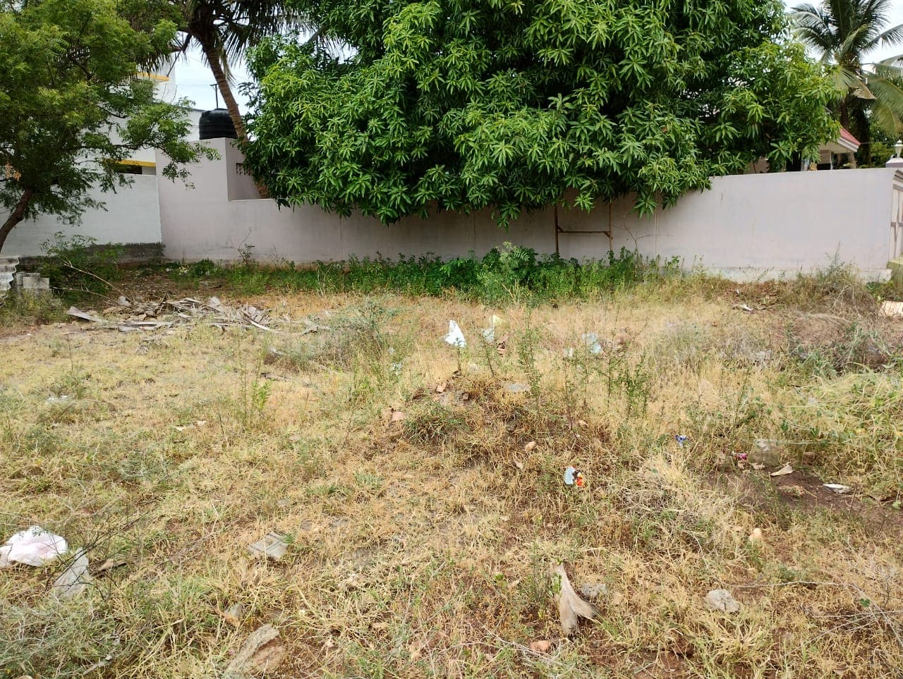 Property Photos 2
