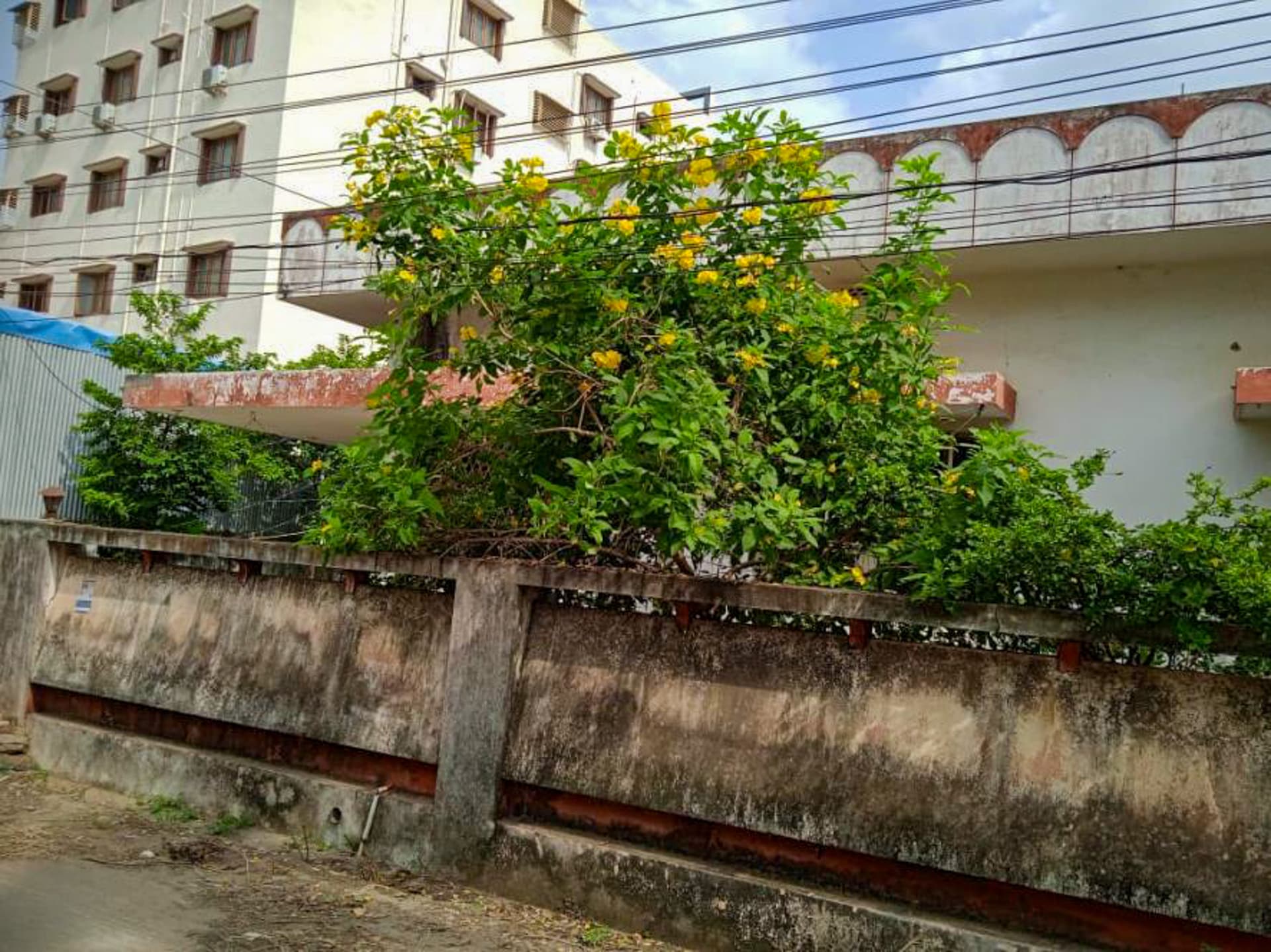 Property Photos 2