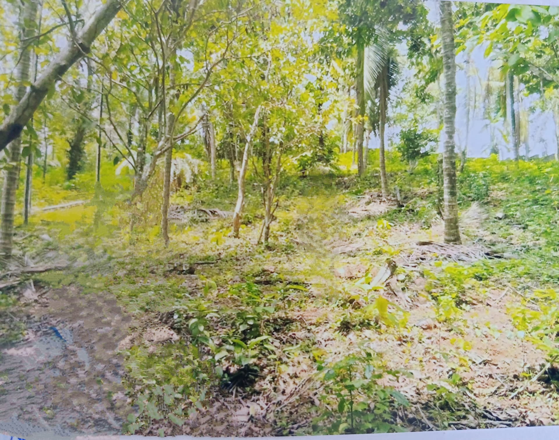 Property Photos 4