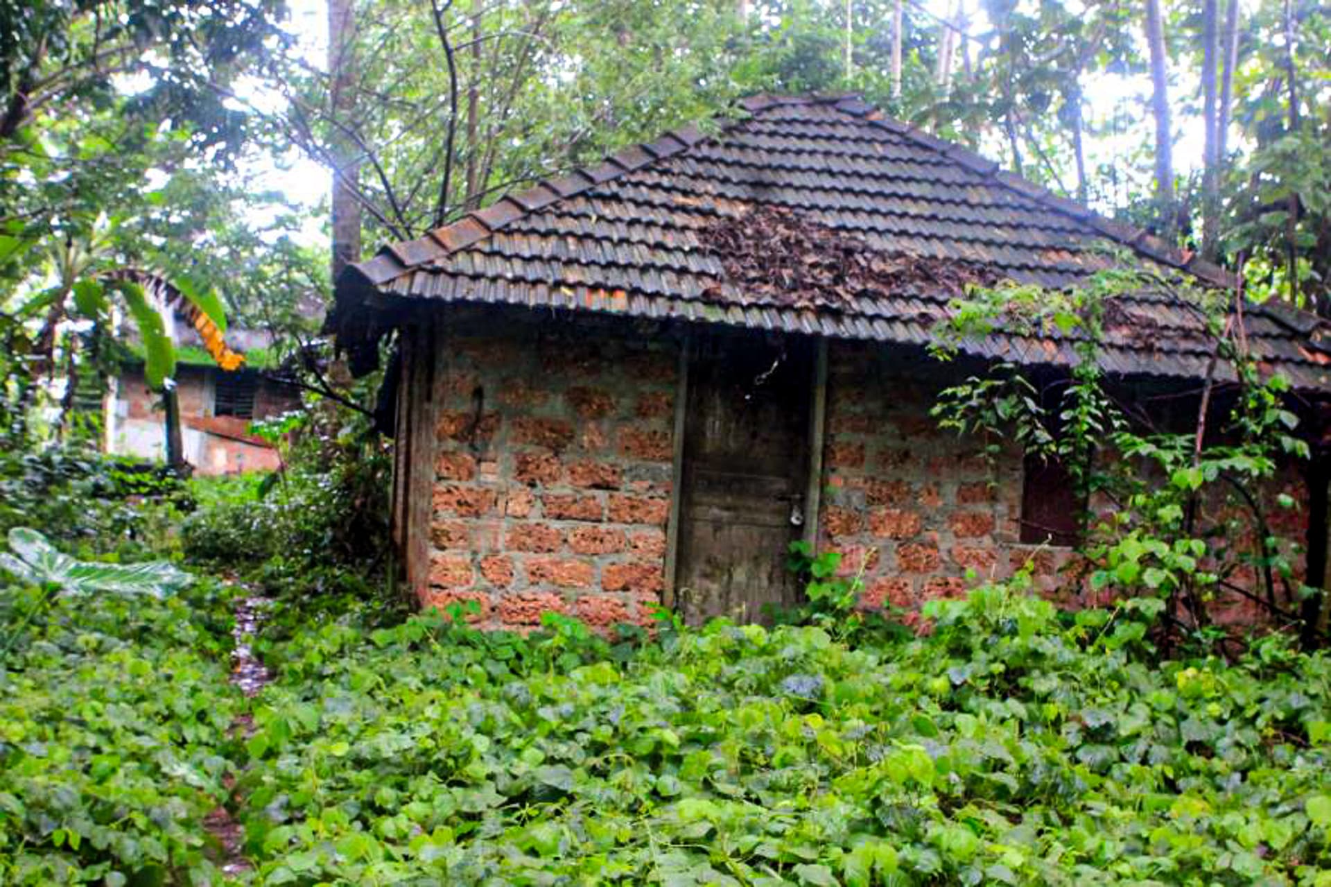 Property Photos 14