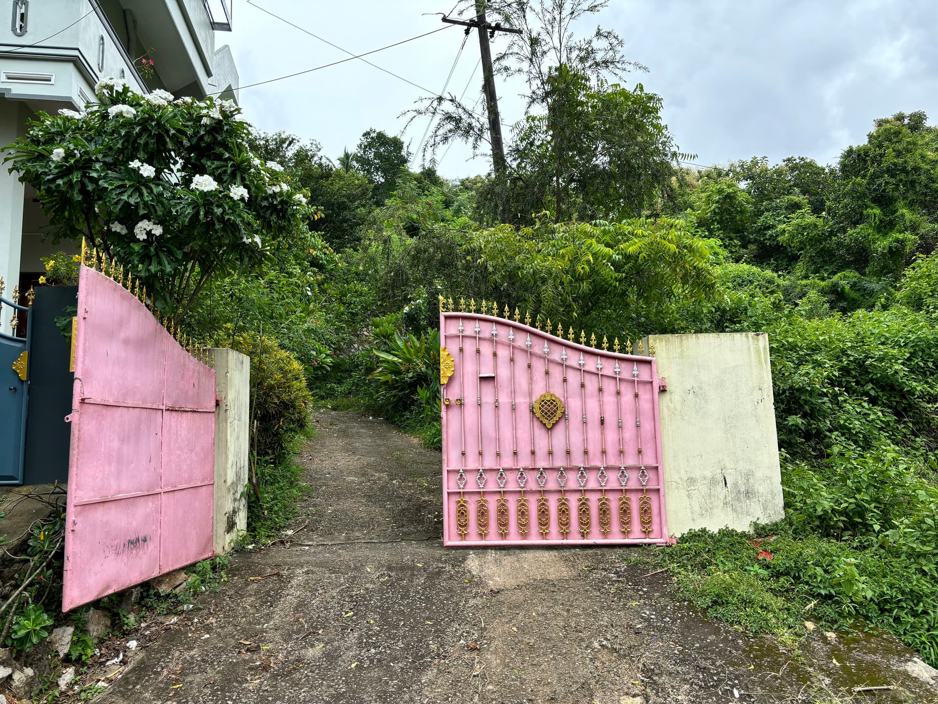 Property Photos 2