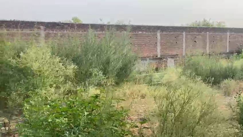 Property Photos 2