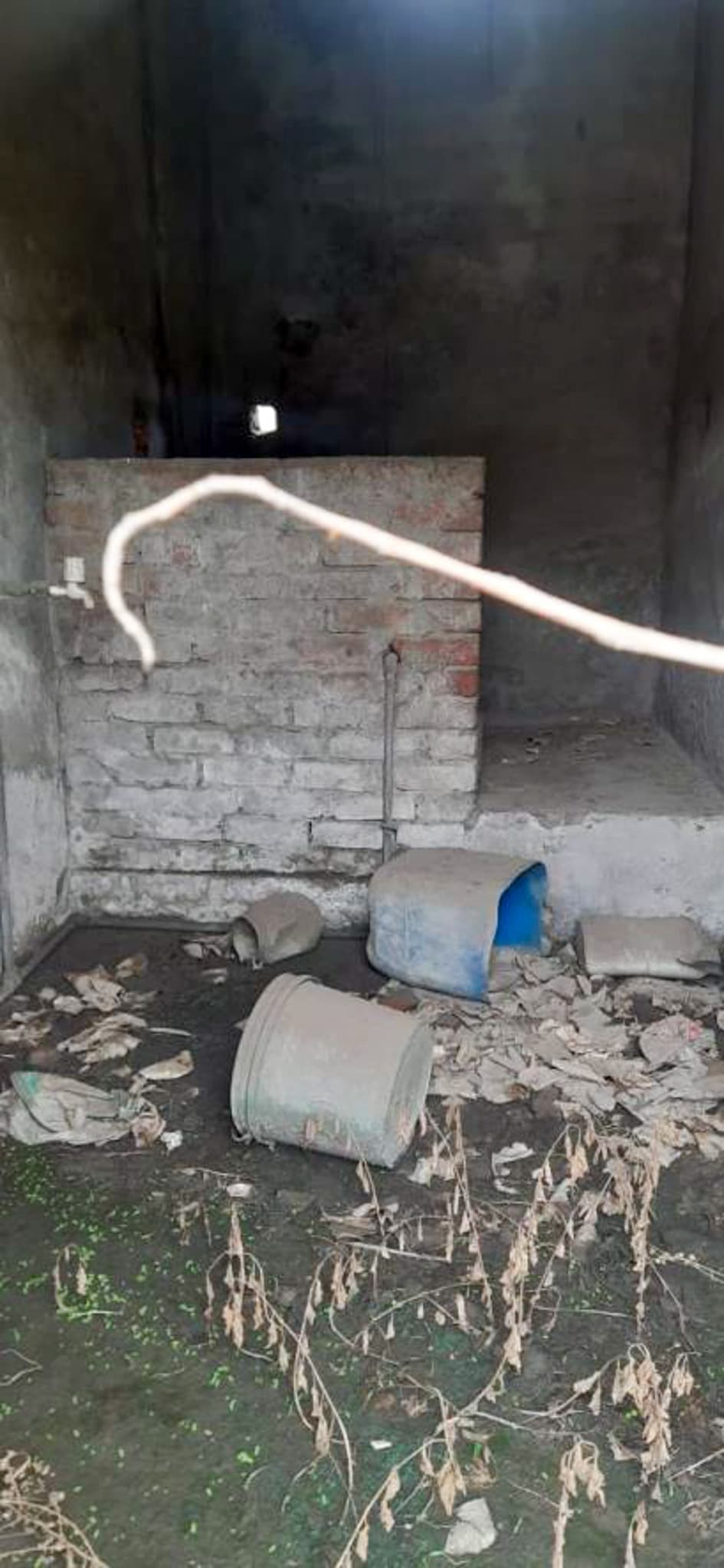 Property Photos 2