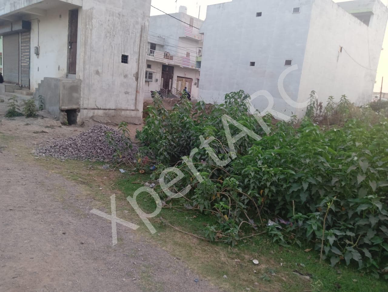 Property Photos 2