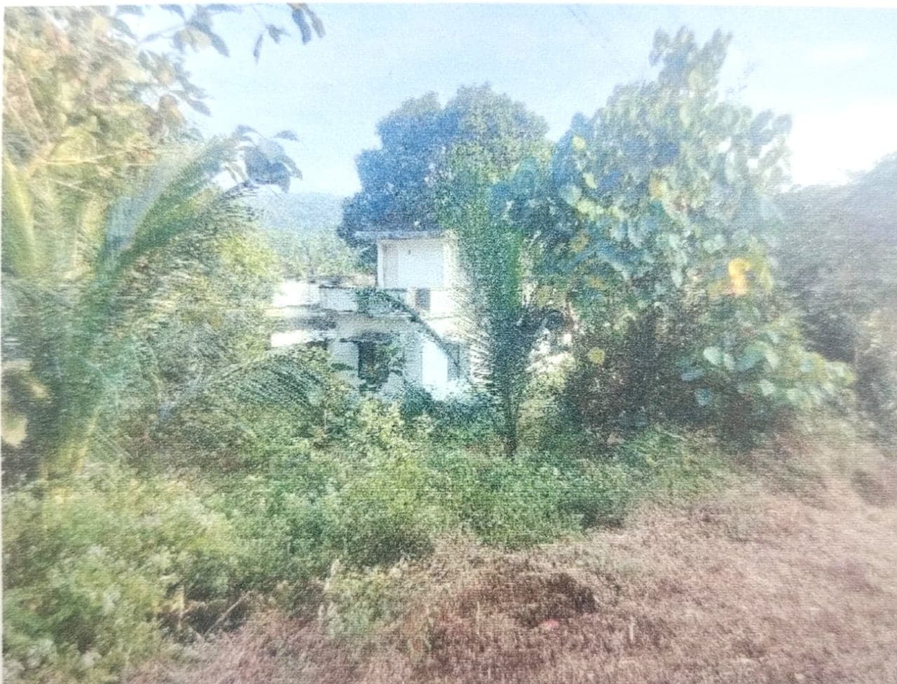 Property Photos 2