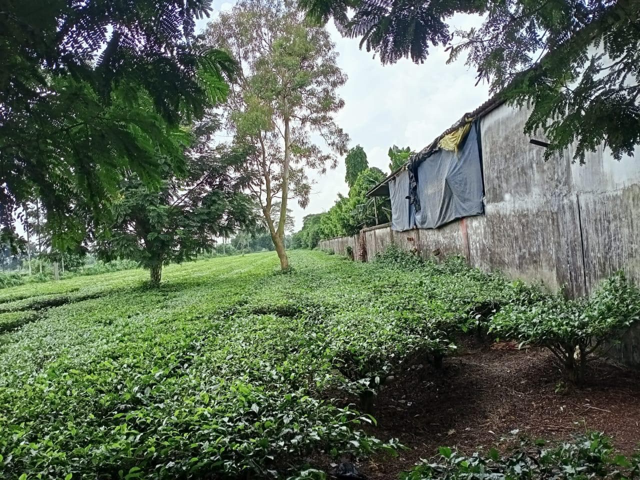 Property Photos 2