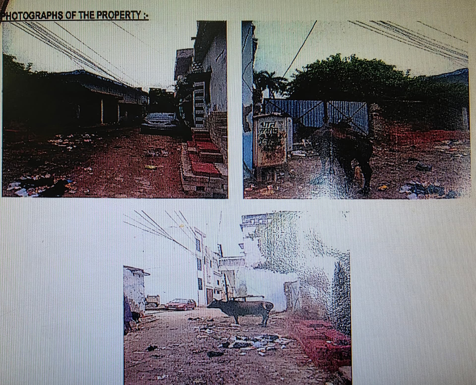 Property Photos 2