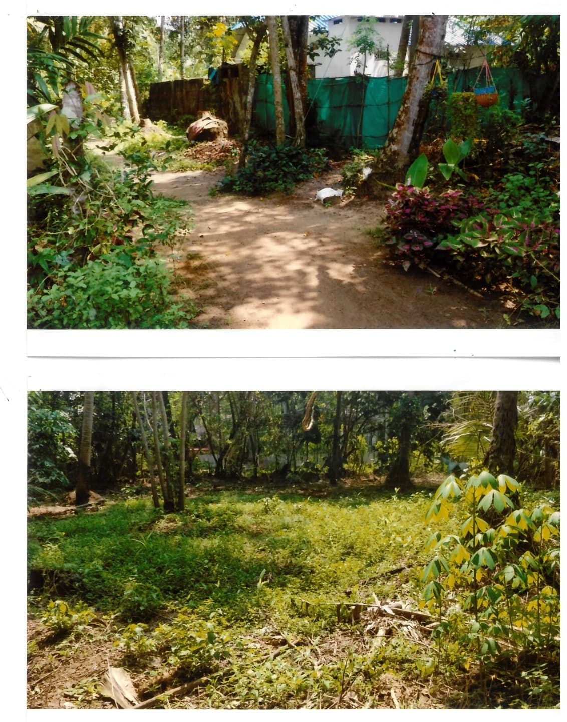 Property Photos 3