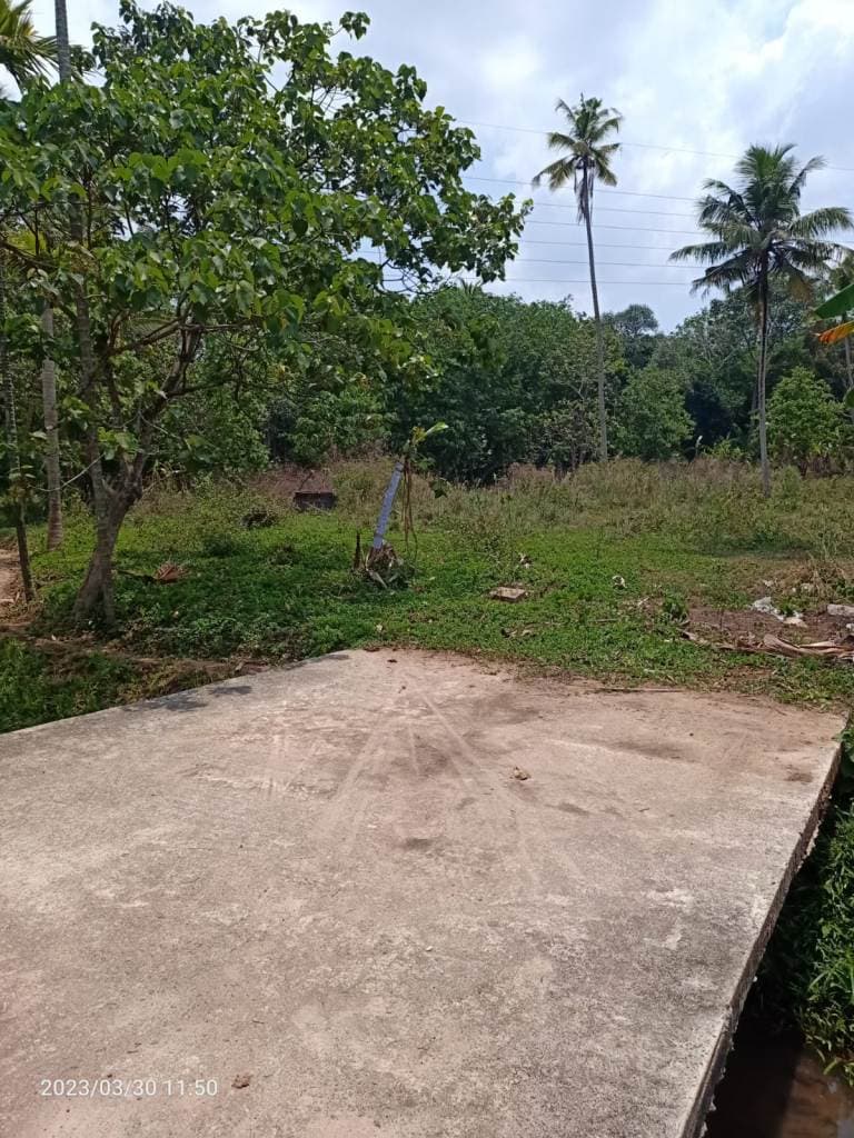 Property Photos 2