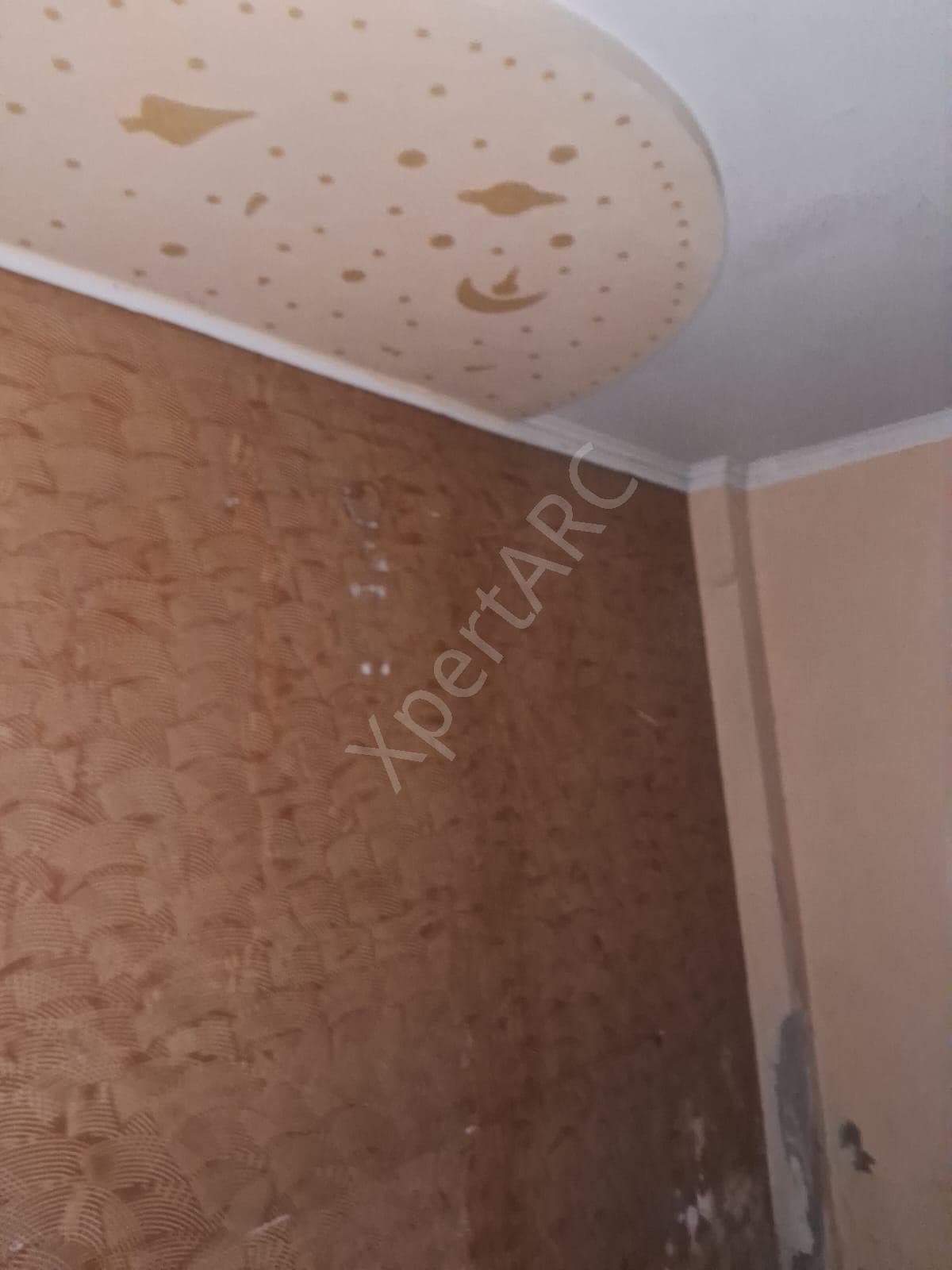 Property Photos 7