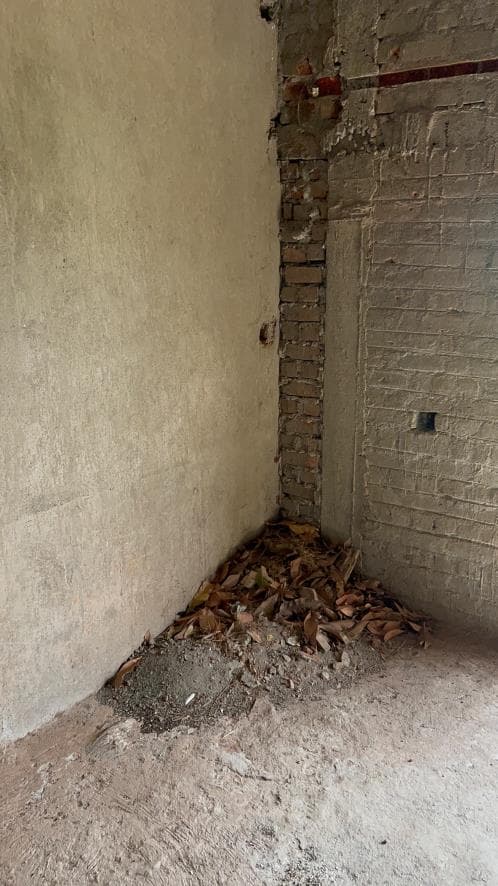 Property Photos 42