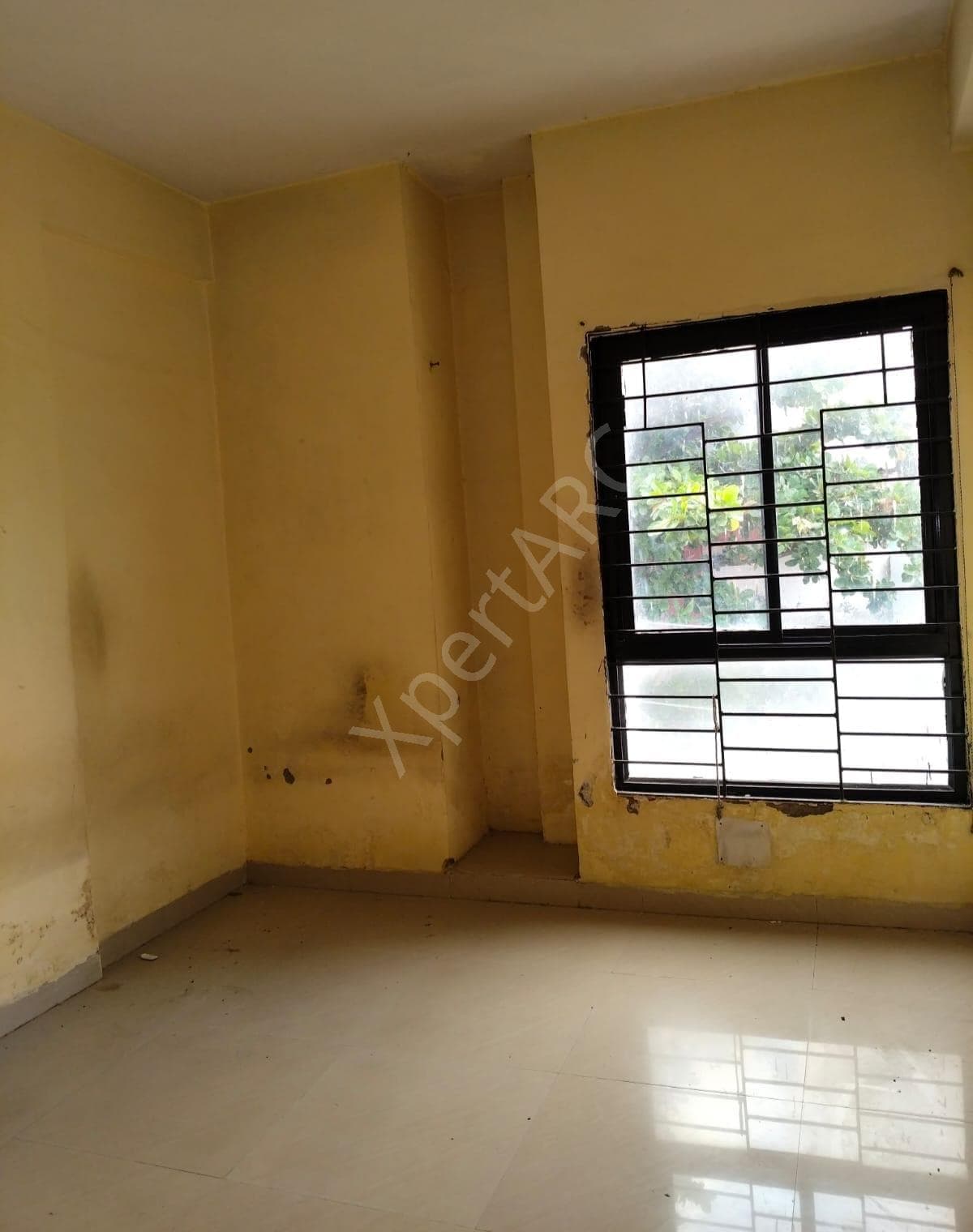 Property Photos 5