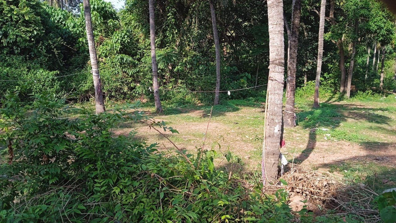 Property Photos 9