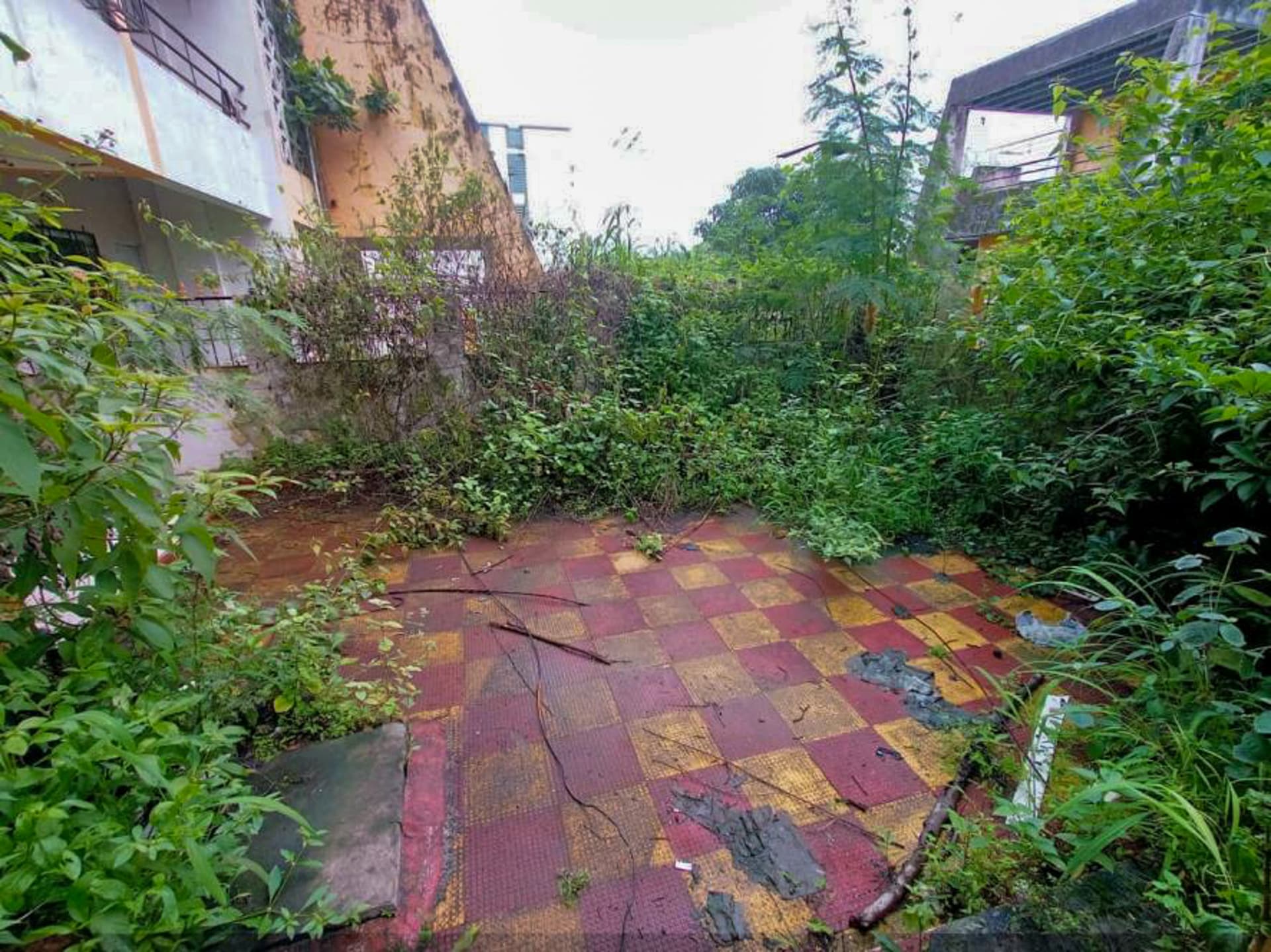 Property Photos 16