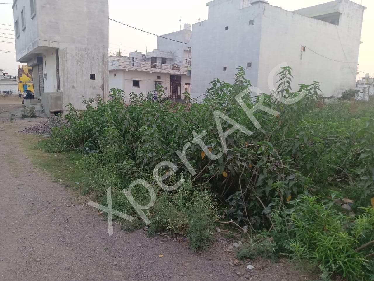 Property Photos 7