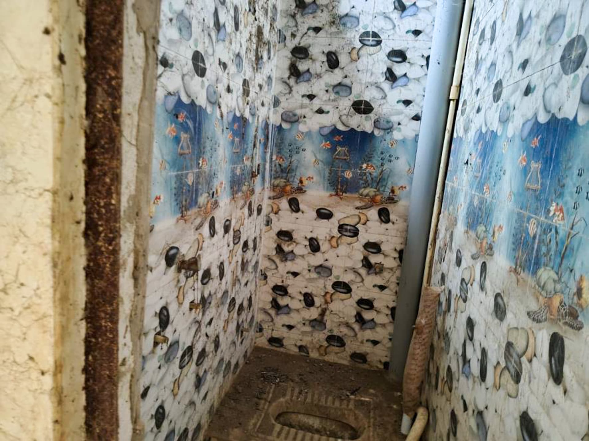 Property Photos 5