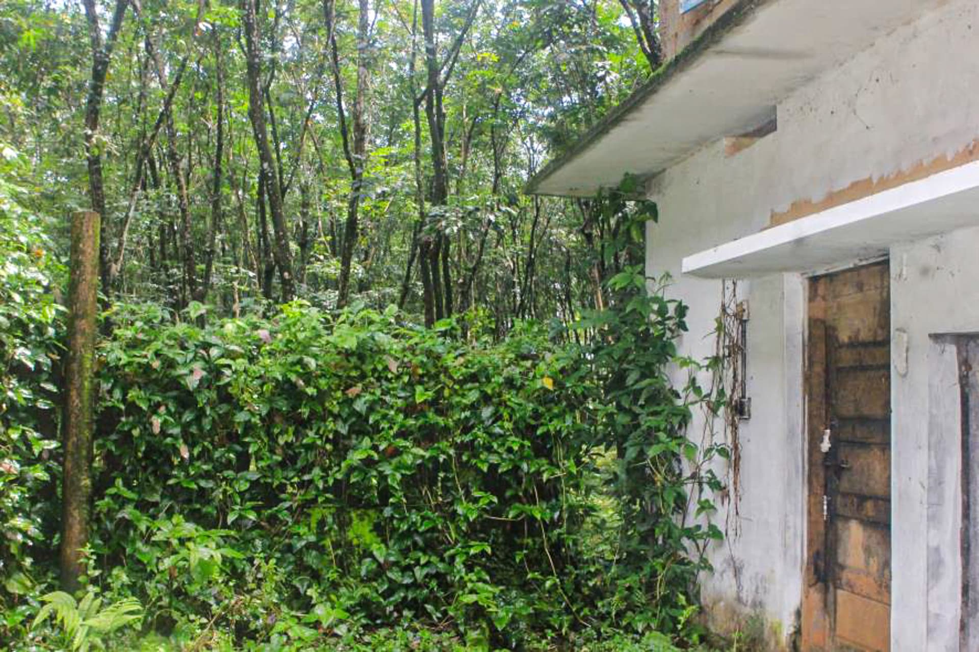 Property Photos 6