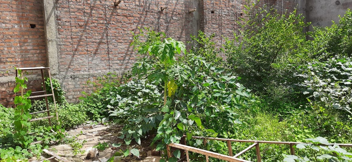 Property Photos 2
