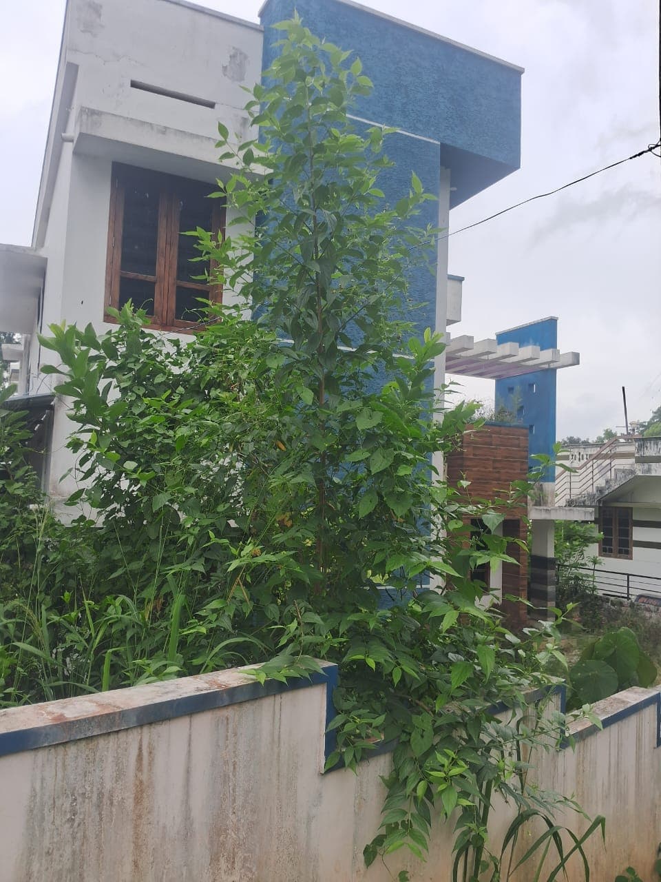 Property Photos 3