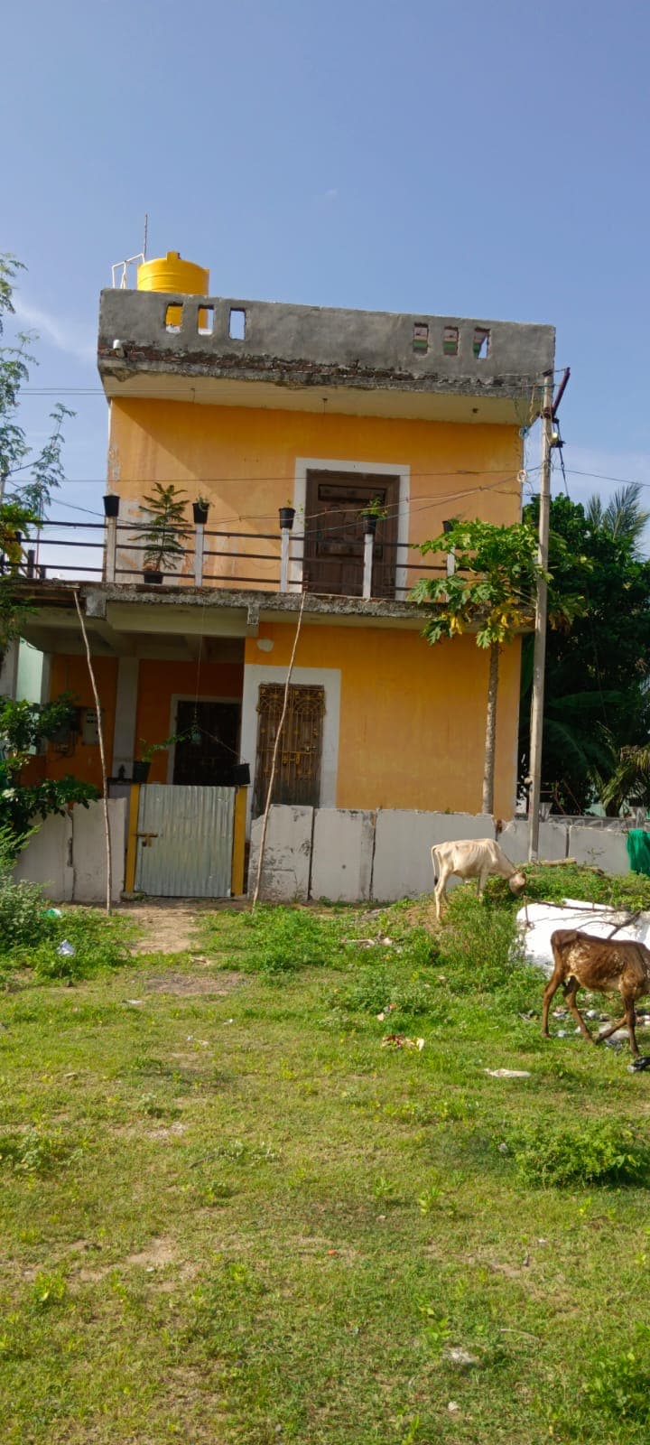 Property Photos 2