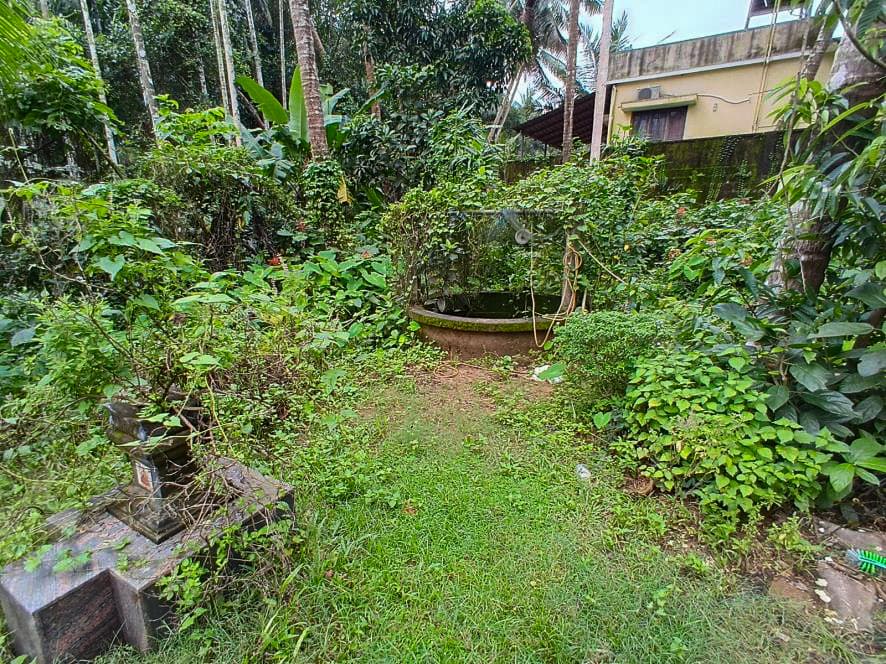 Property Photos 7