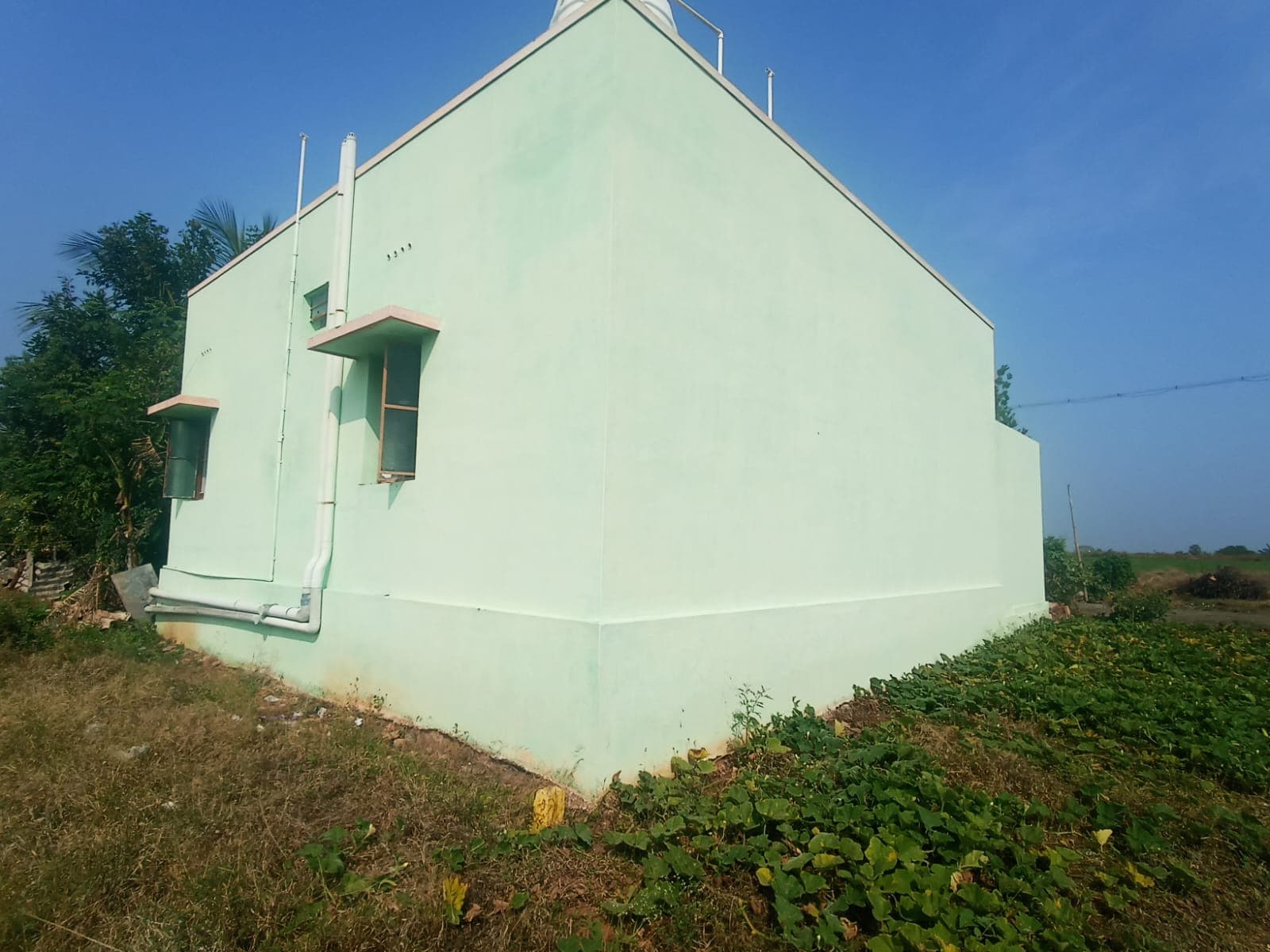 Property Photos 6