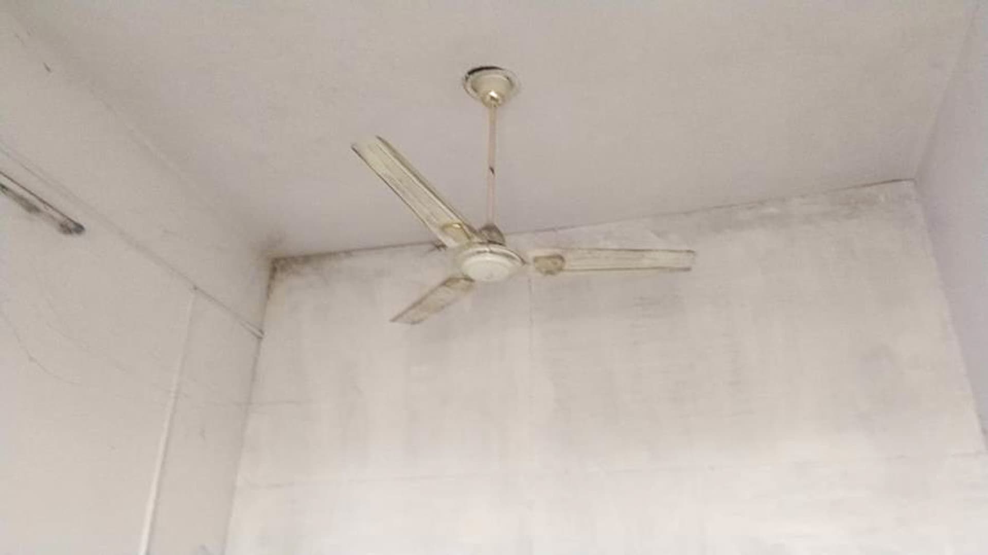 Property Photos 4