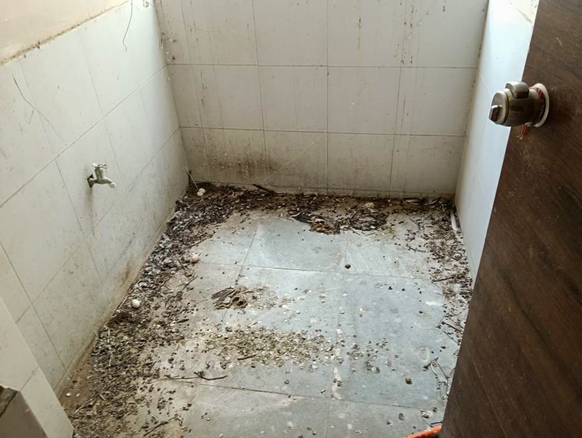Property Photos 19