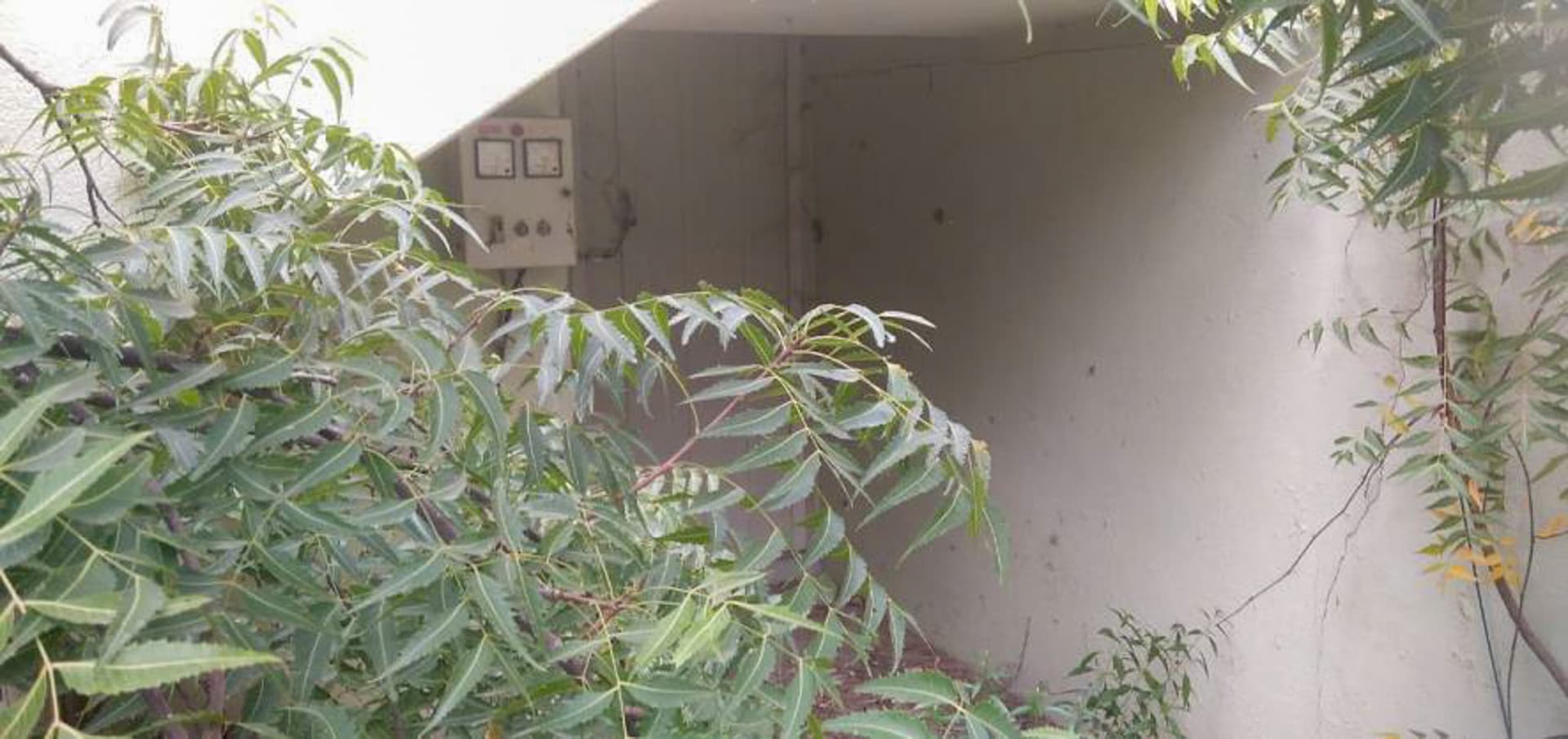 Property Photos 19