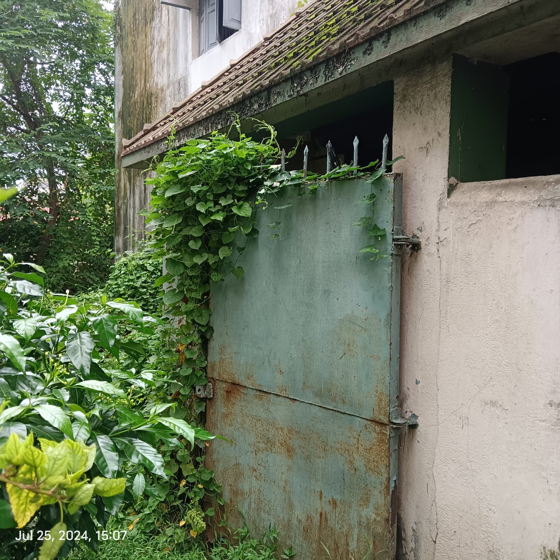 Property Photos 3