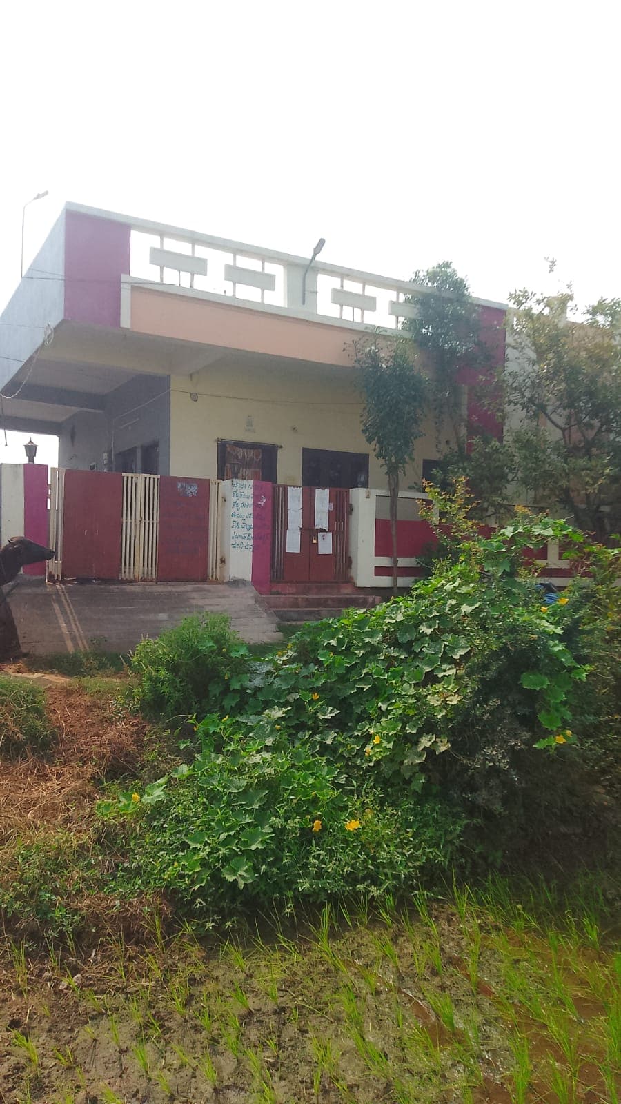 Property Photos 1