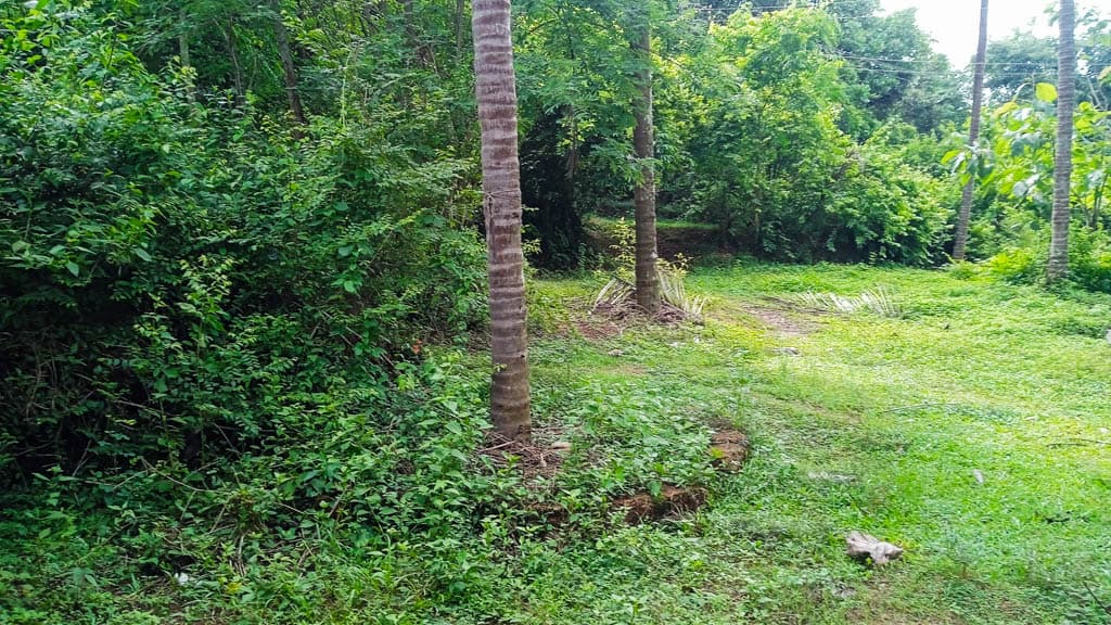 Property Photos 5