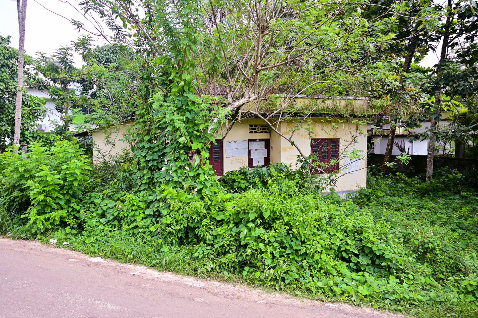 Property Photos 7