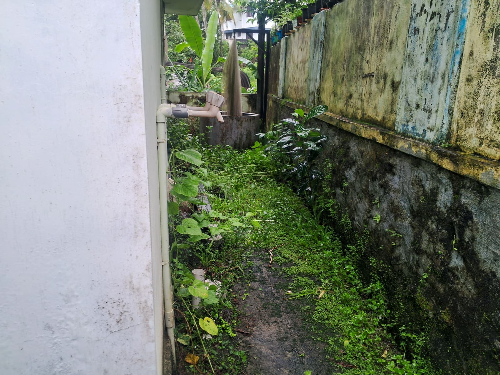 Property Photos 17