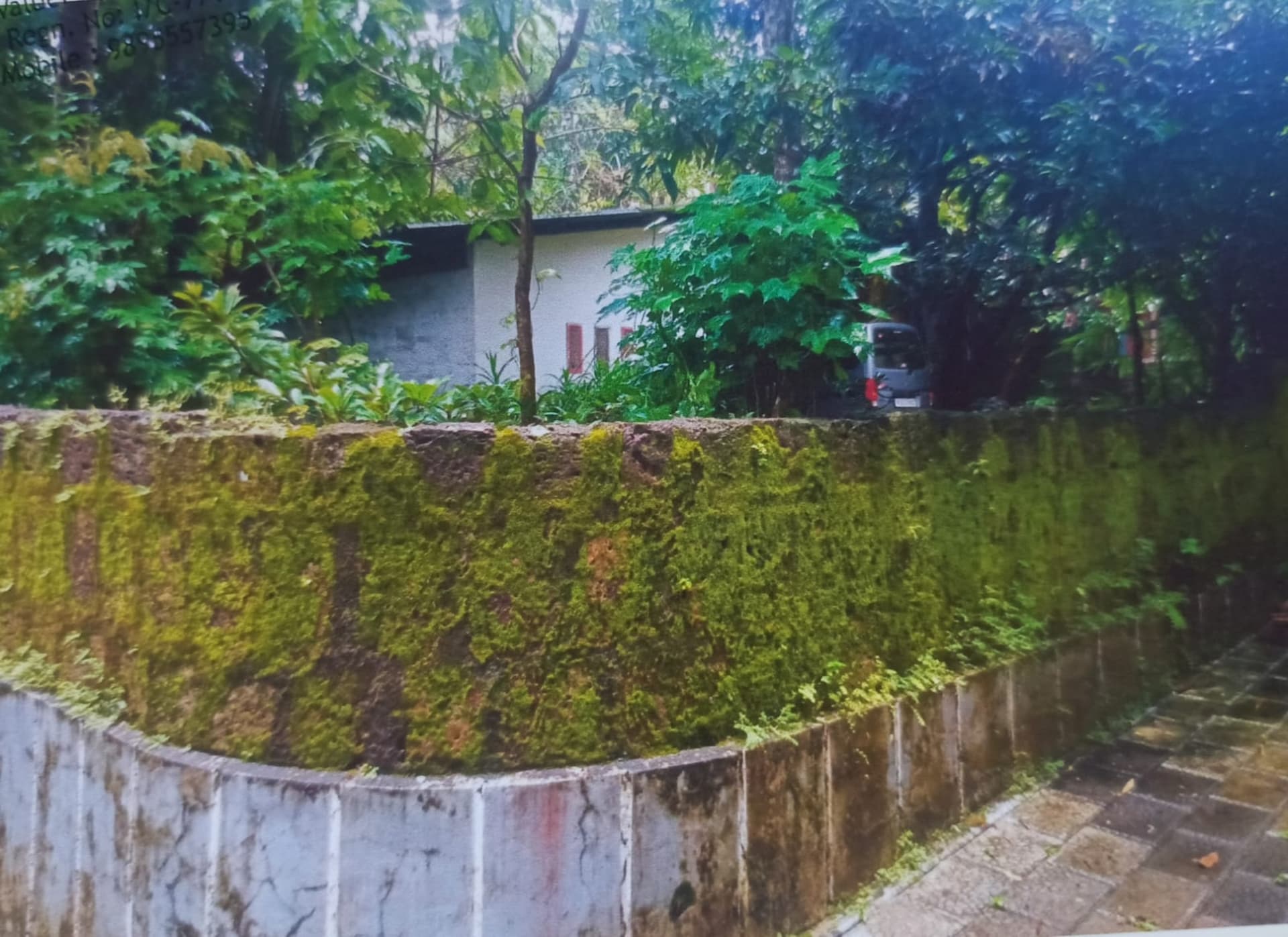 Property Photos 6