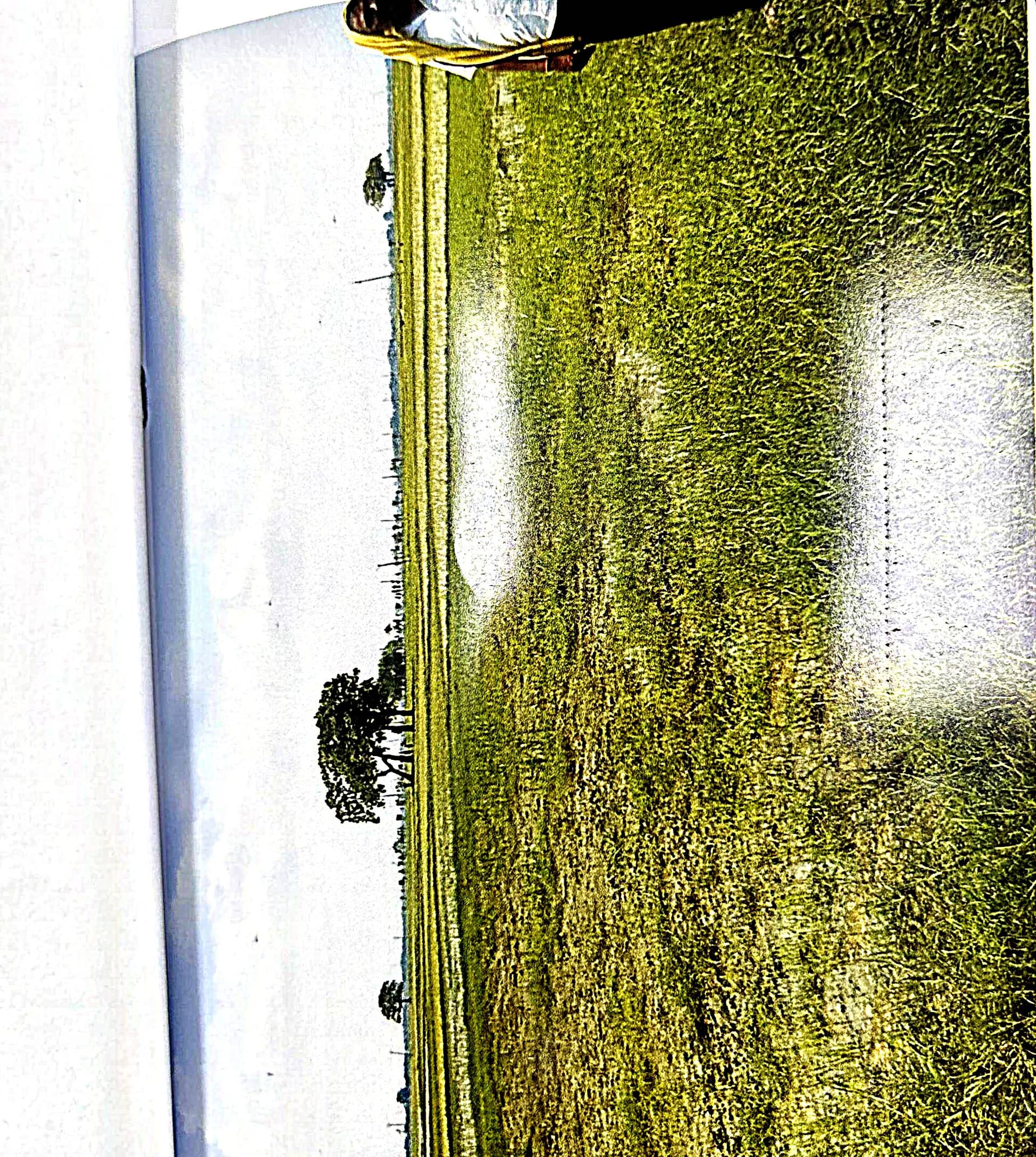 Property Photos 4