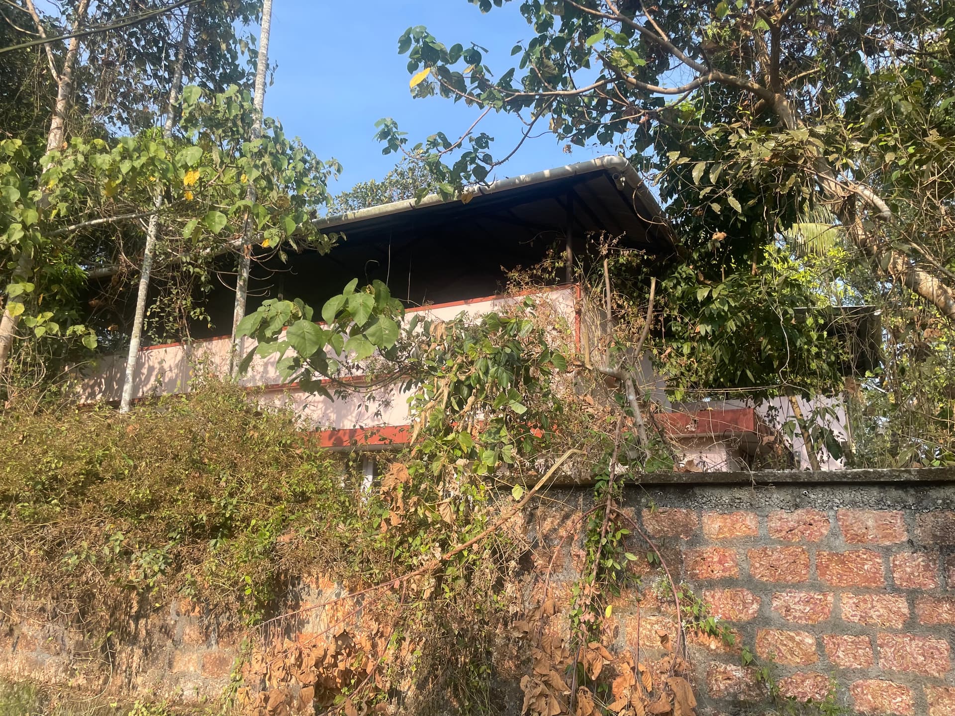 Property Photos 2