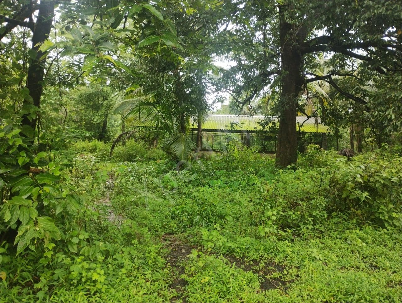 Property Photos 2