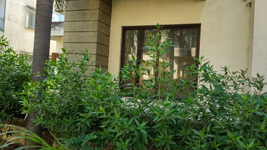 Property Photos 13