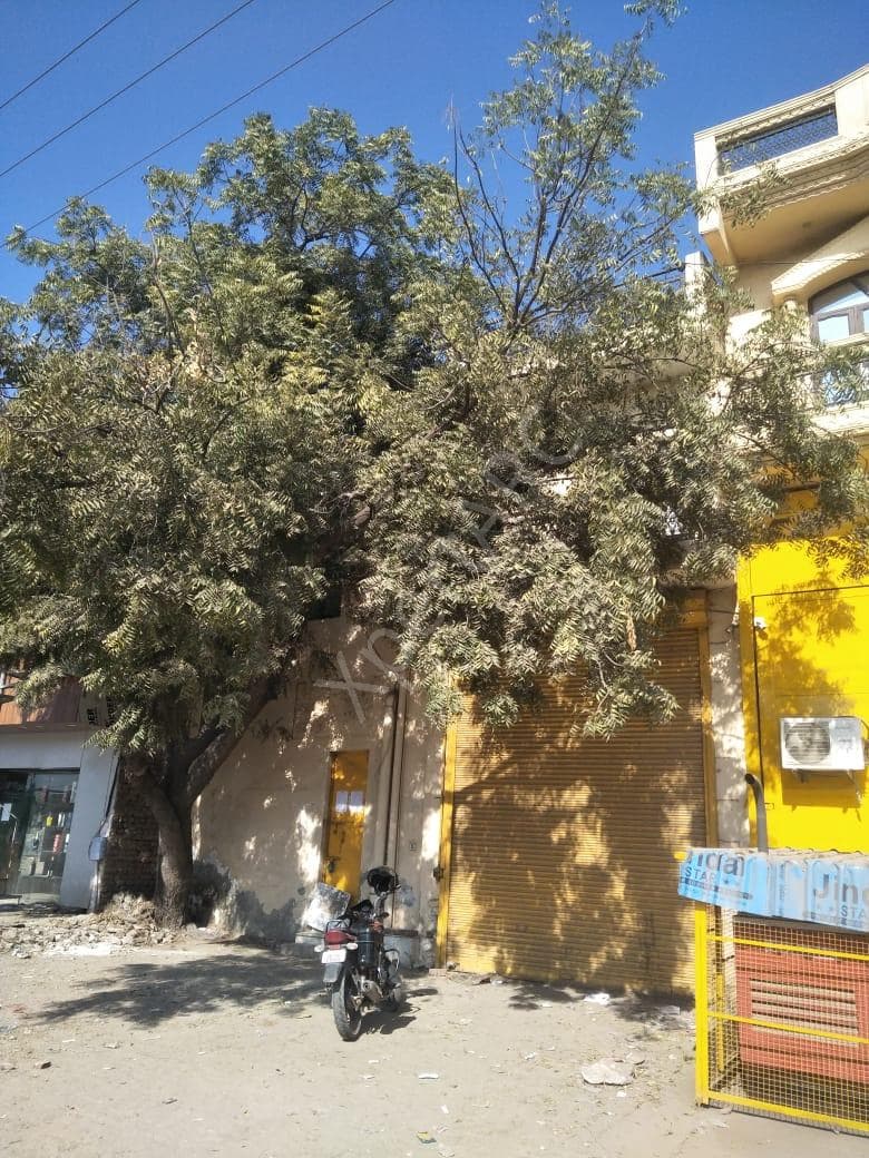 Property Photos 7
