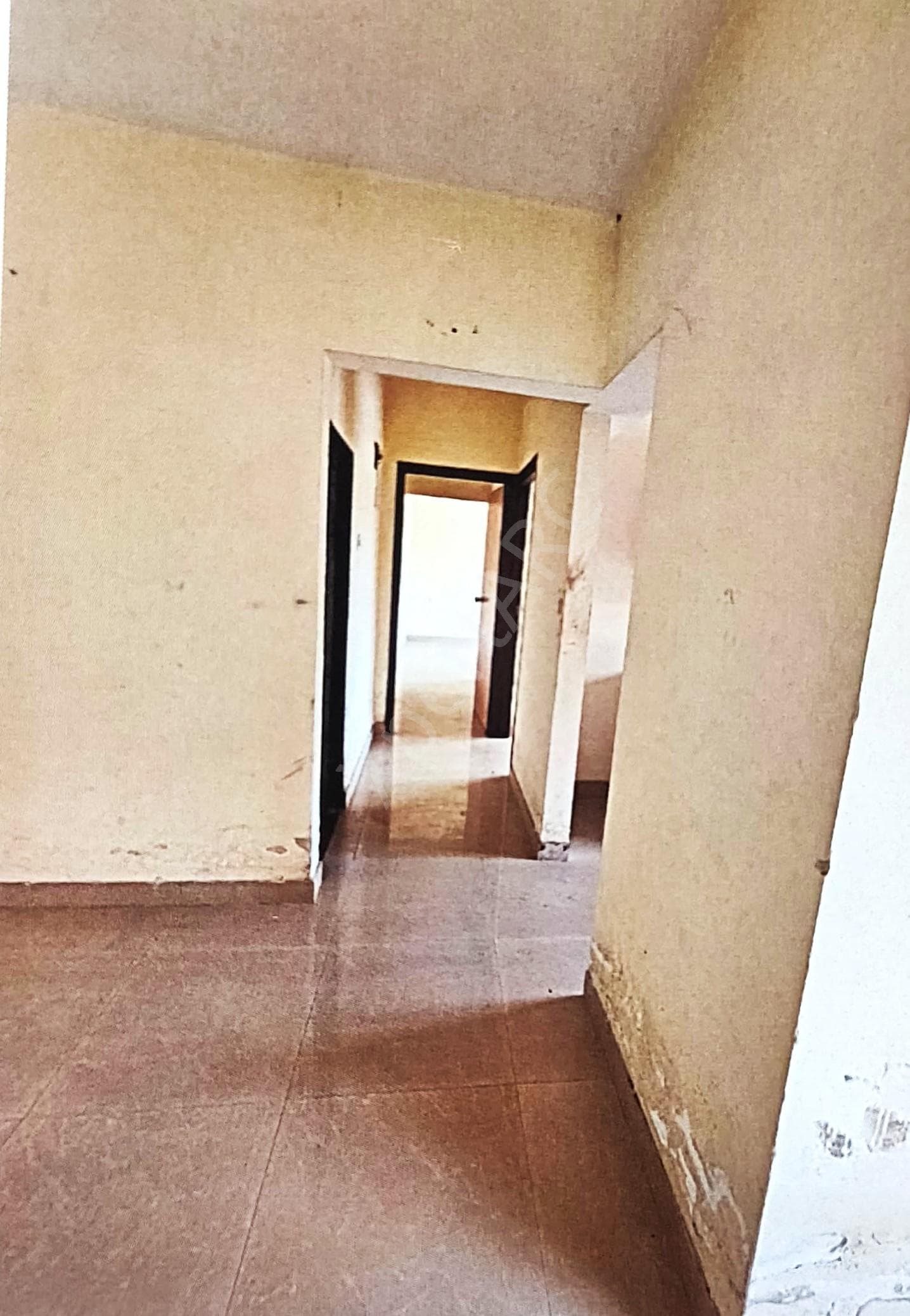 Property Photos 5