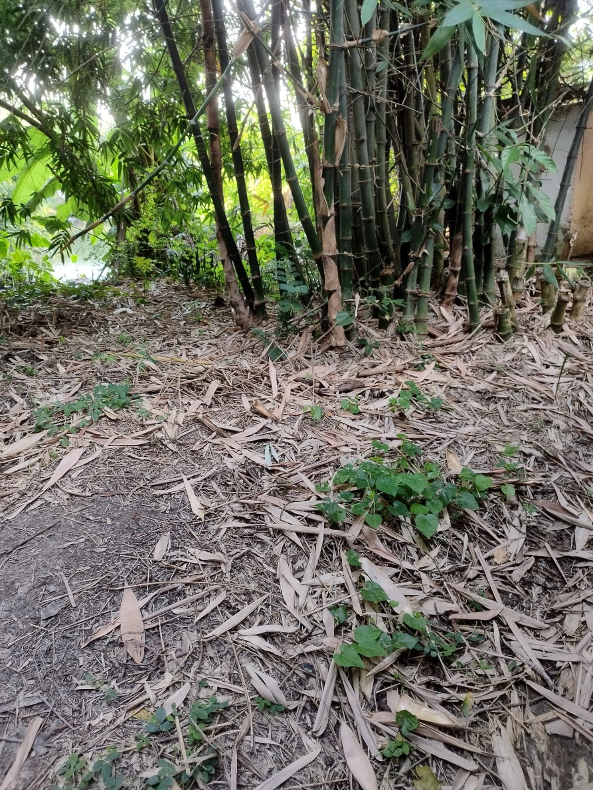 Property Photos 7