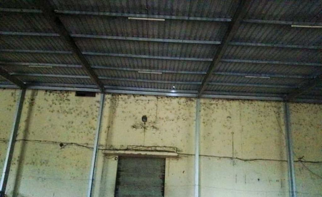Property Photos 8